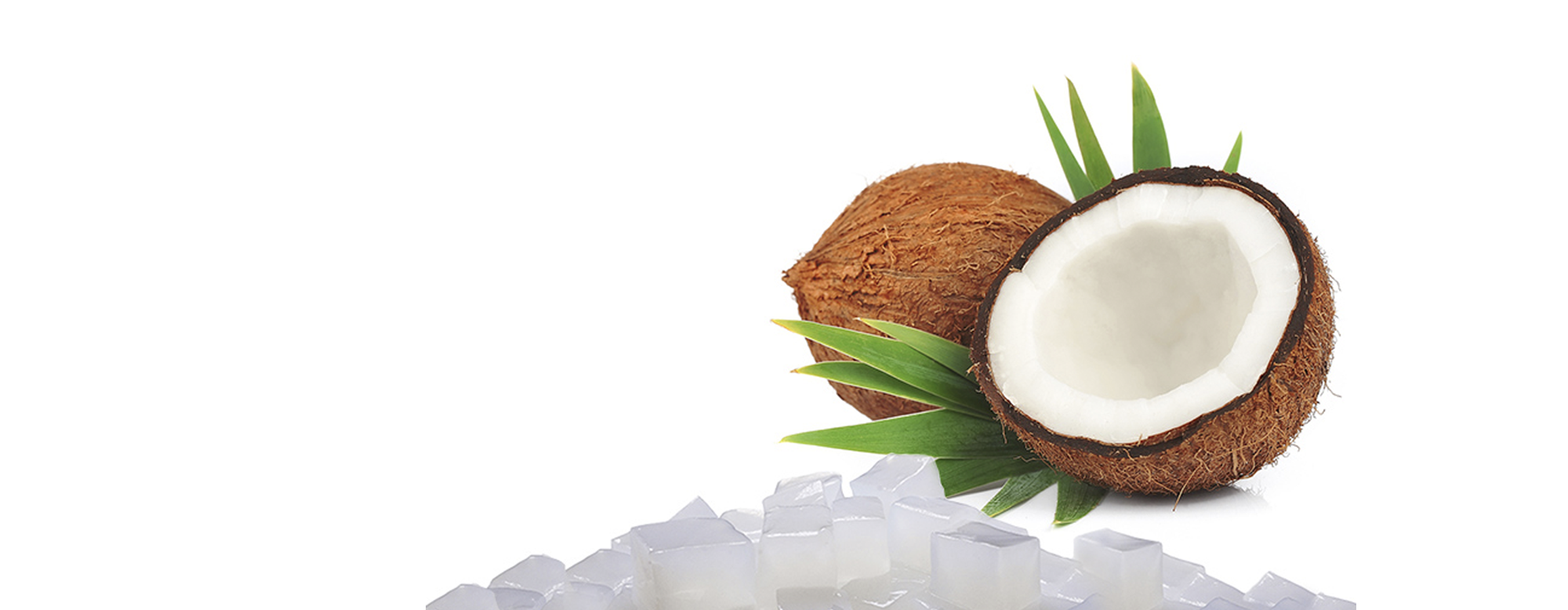 Nata De Coco Manufacturer and Supplier - We produce Nata De Coco, Coconut Jelly, Pudding, Nata De Coco Face Mask, Nata De Coco Noodles Nata De Coco Products